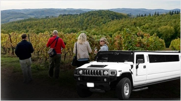 Wine Tours San Rafael
