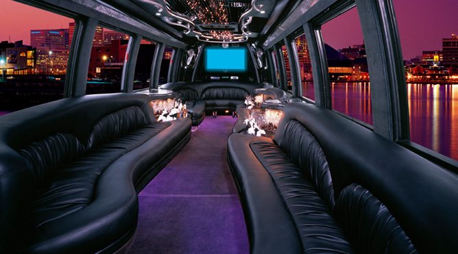 San Rafael 28 passenger party bus